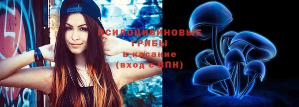 МДПВ Абдулино