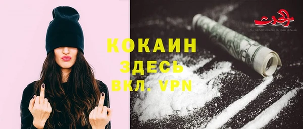 дмт Протвино