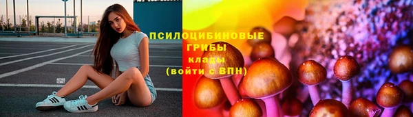 дмт Протвино