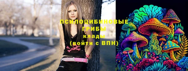дмт Протвино