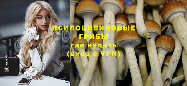 МДПВ Абдулино