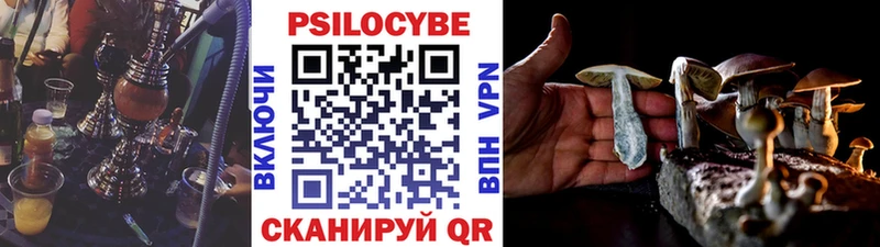 Галлюциногенные грибы мухоморы  дарнет шоп  Инза 
