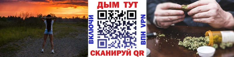 Каннабис SATIVA & INDICA Инза